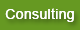 Consulting